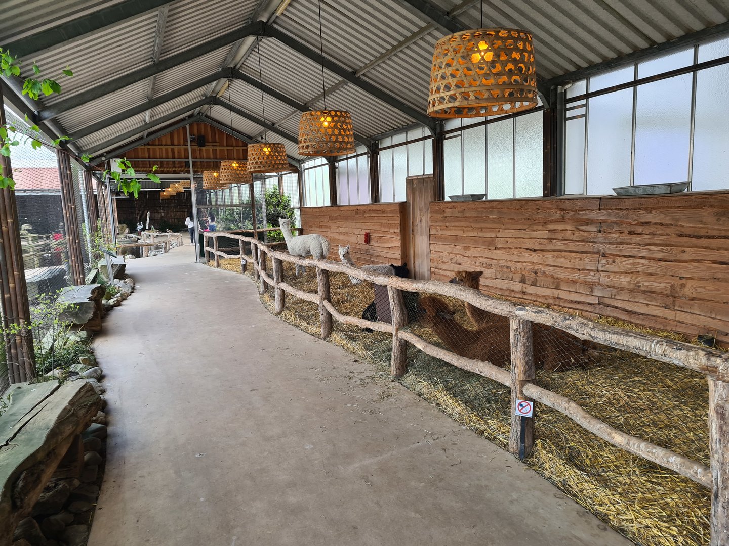 Alpaca and Donkey barn in Lemur kingdom