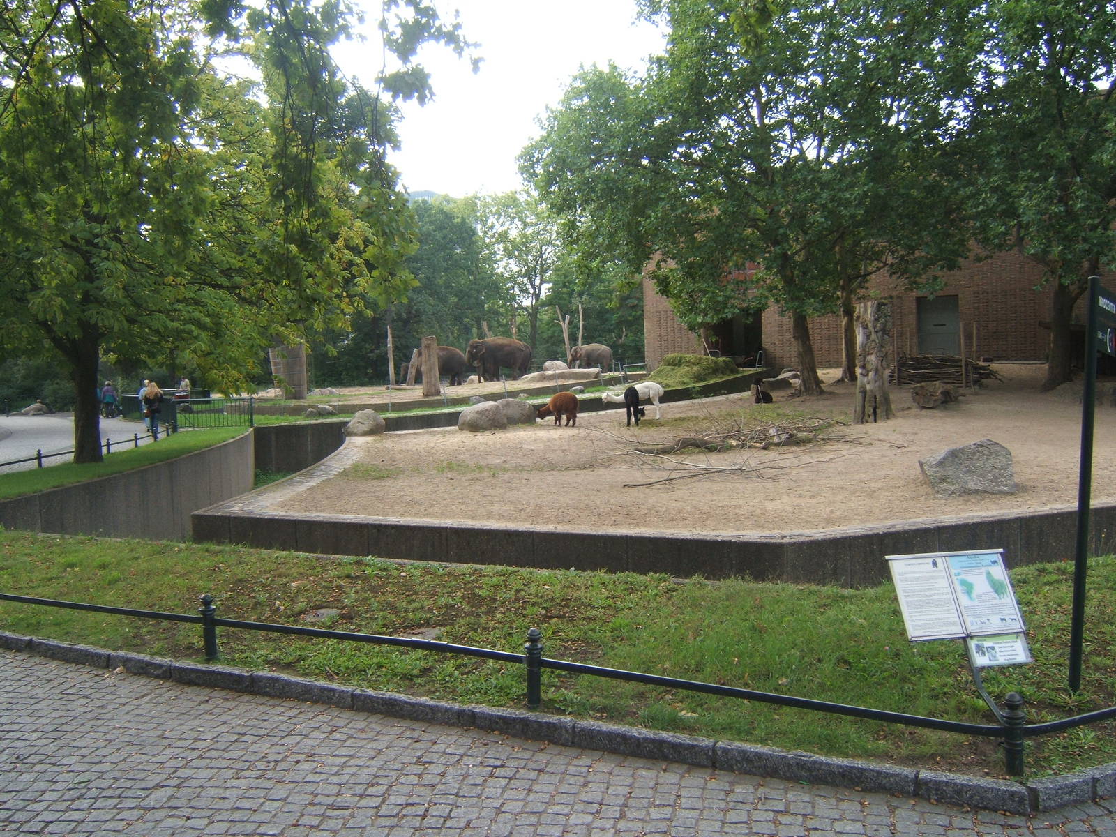 Alpaca and Elephant enclosures