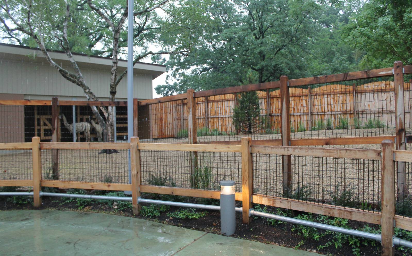 Alpaca and llama exhibit