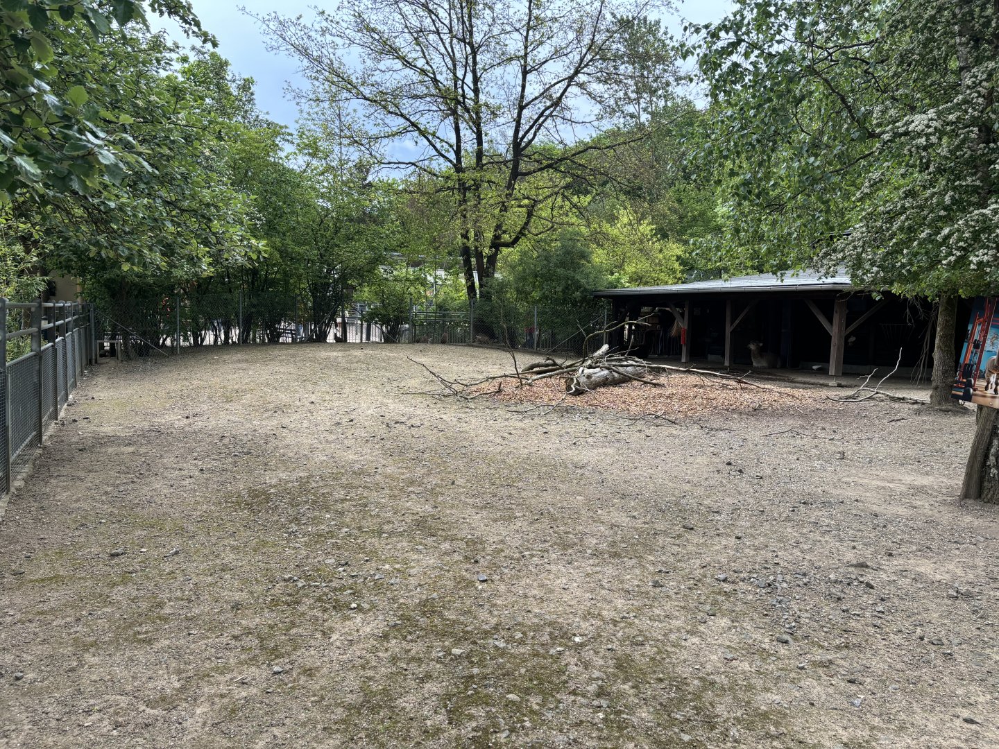 Alpaca and Mara Enclosure at Zoologischer Garten Hof
