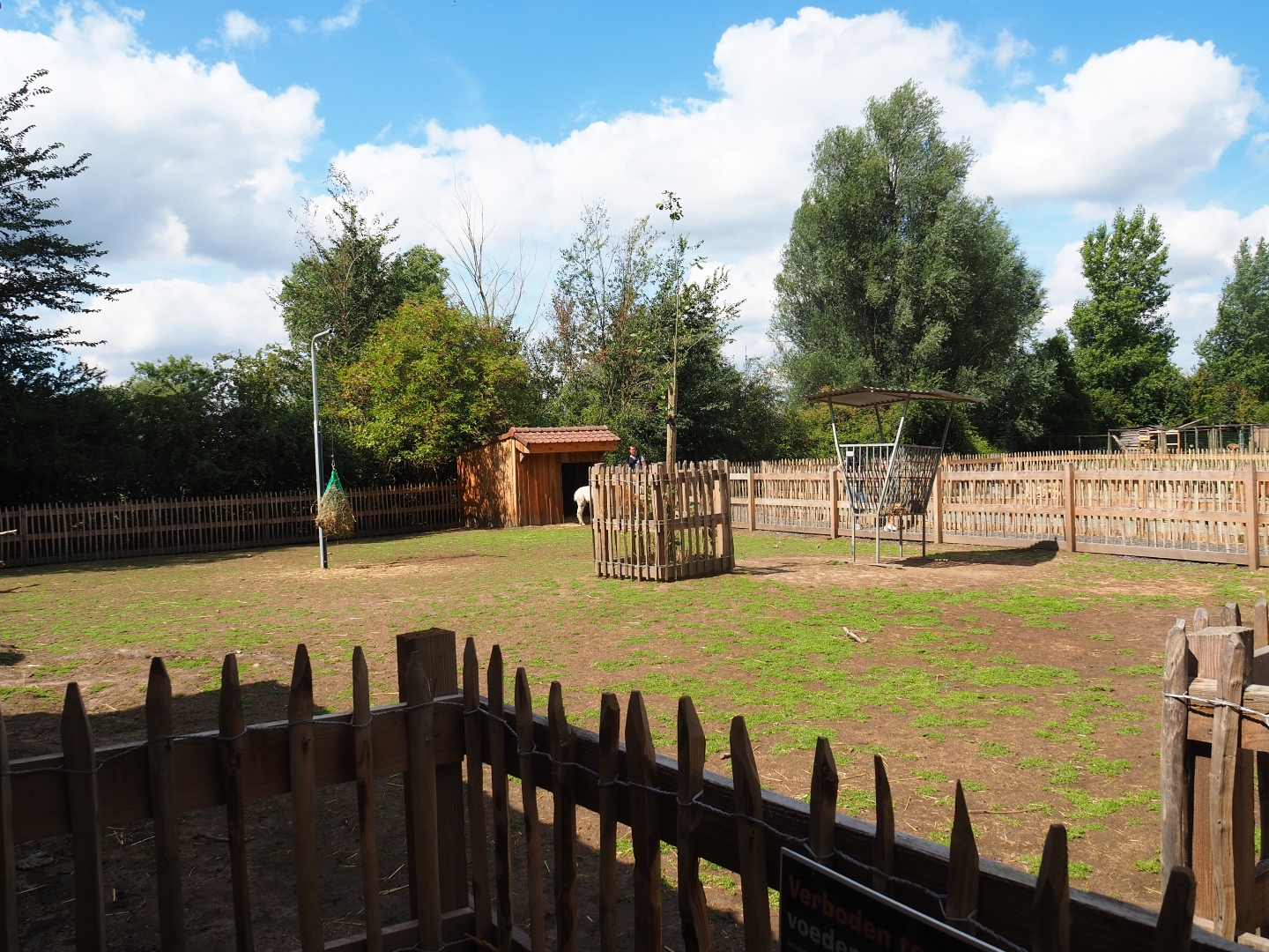 Alpaca and miniature donkey paddock