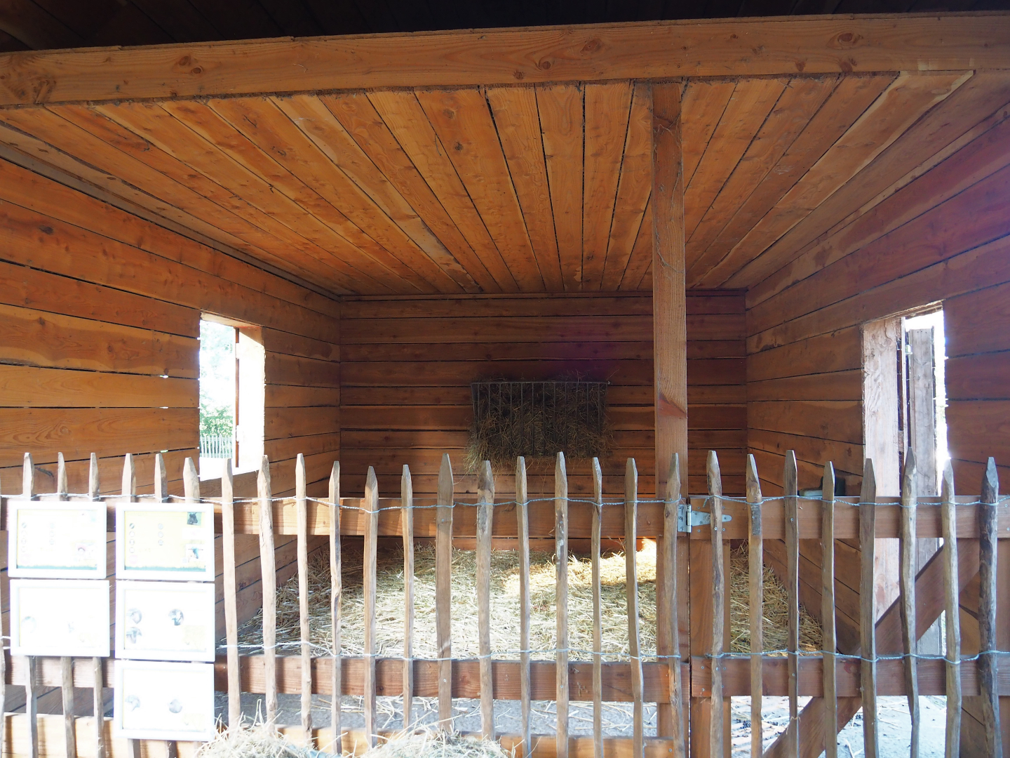 Alpaca and Pygmy goat stable, 2020-09-12
