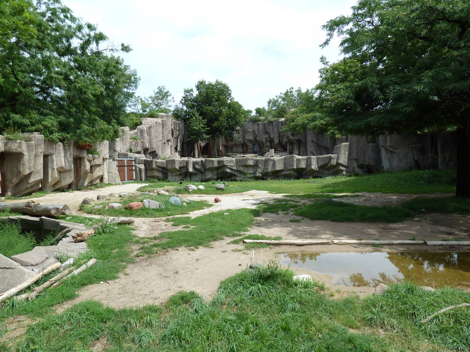 Alpaca/Baird's Tapir/King Vulture/Red-Footed Tortoise/Yellow-Footed Tortois