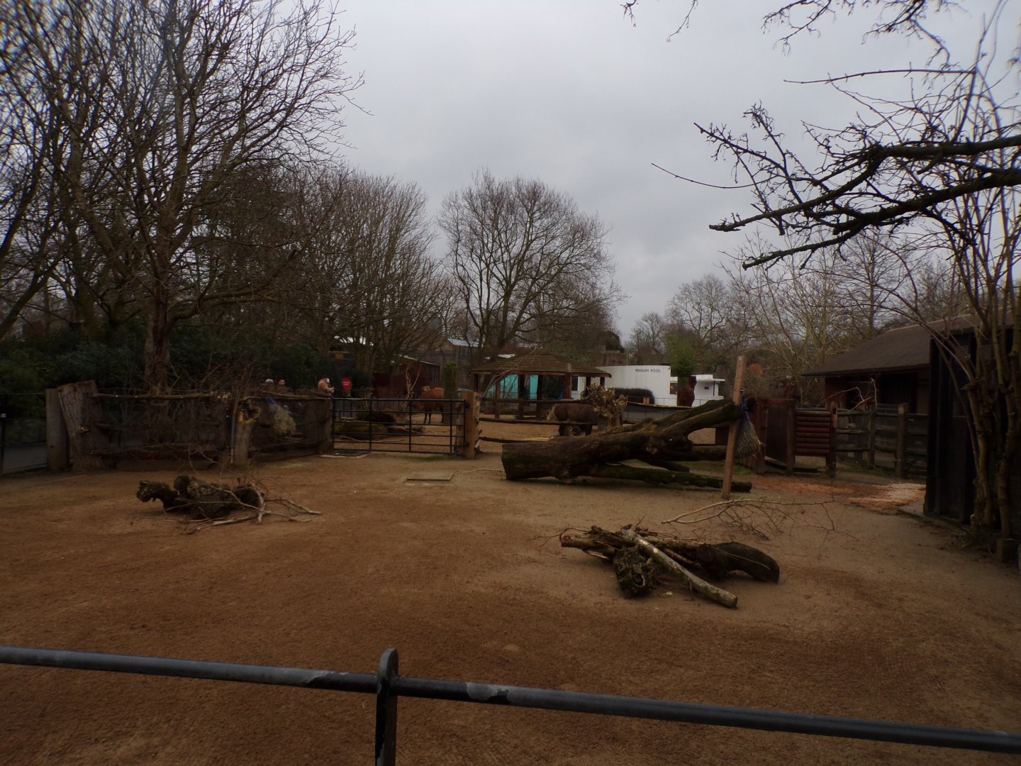 Alpaca enclosure 11.2.25