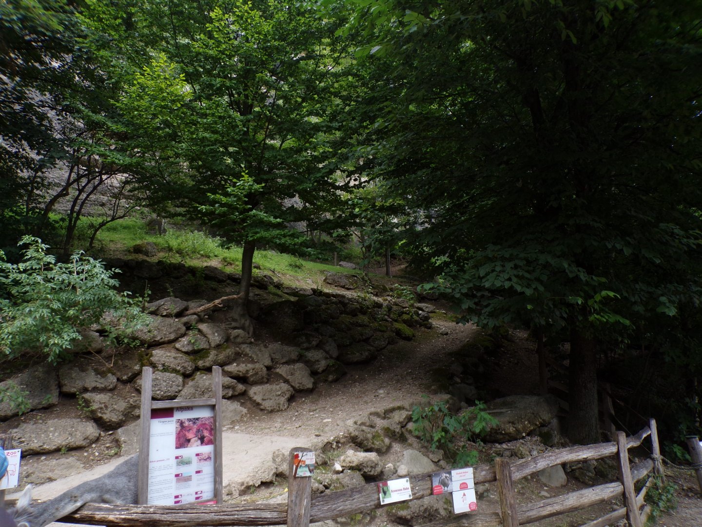 Alpaca enclosure 13.7.25