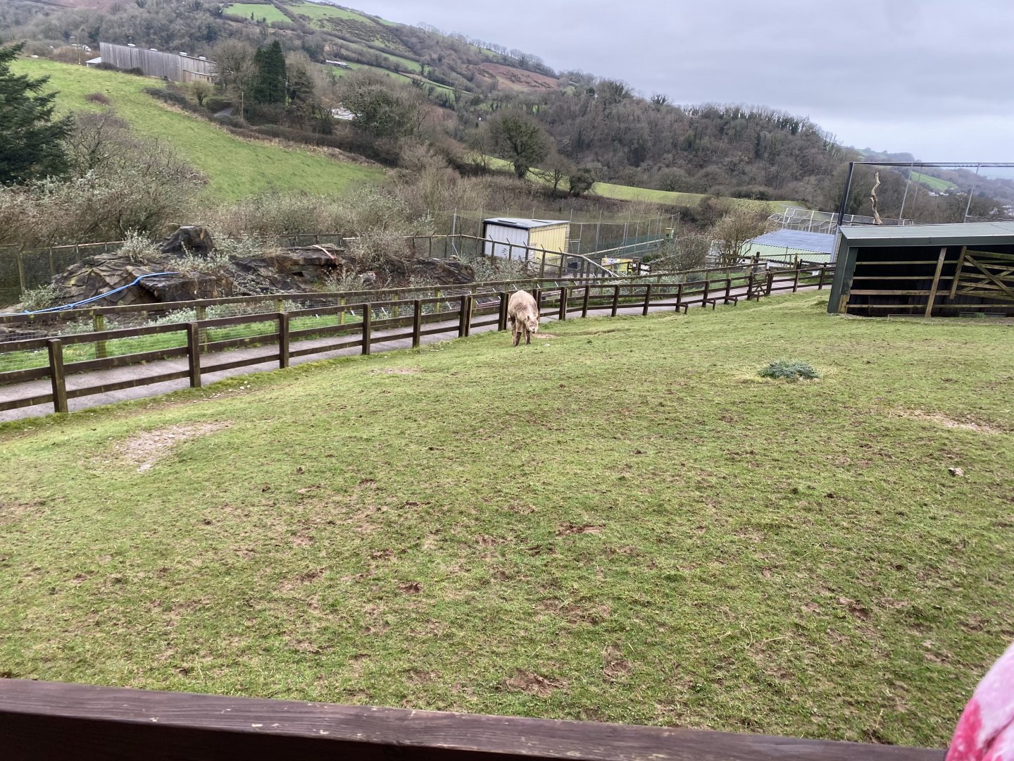 Alpaca enclosure 170224