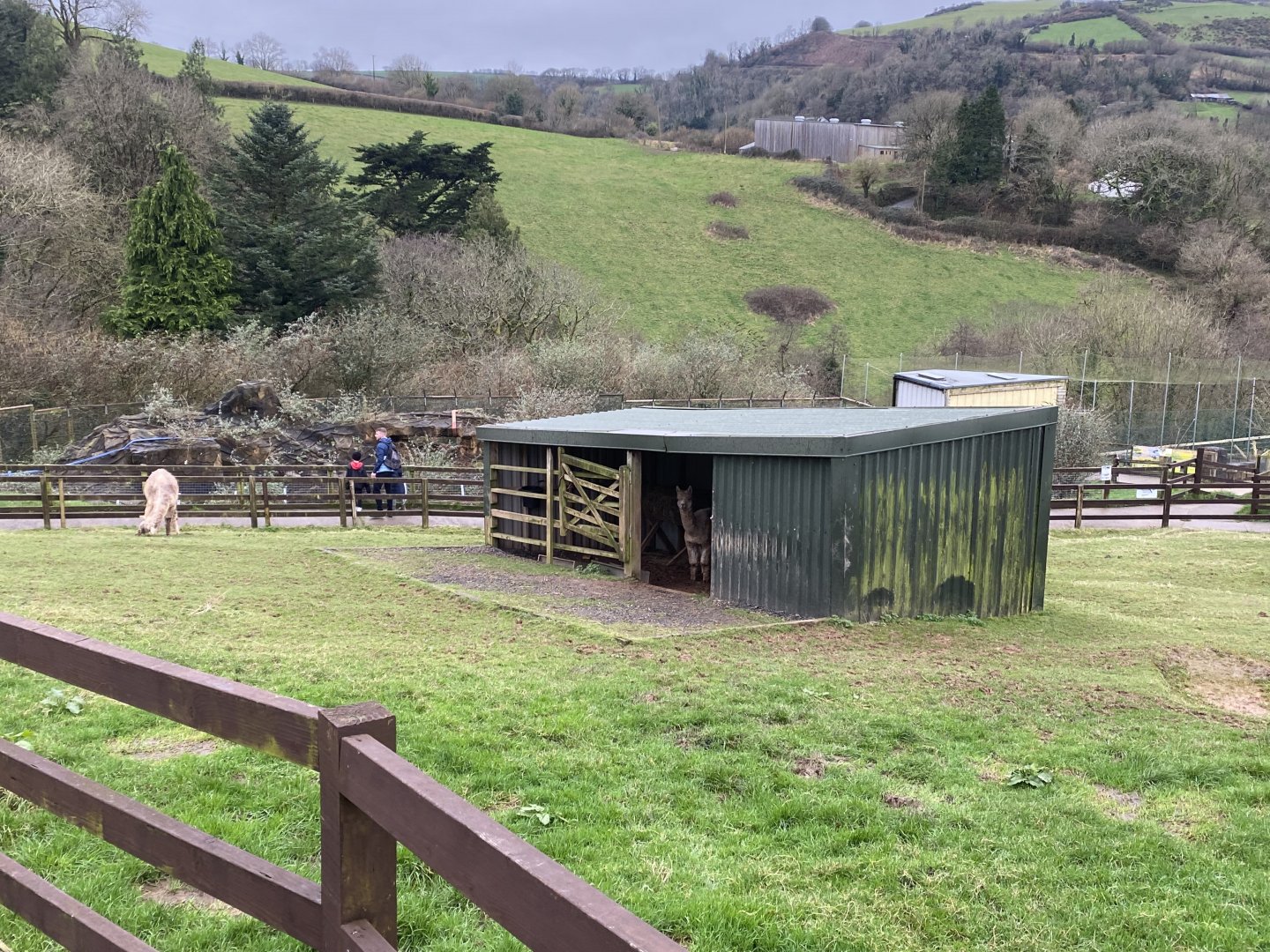 Alpaca enclosure 170224