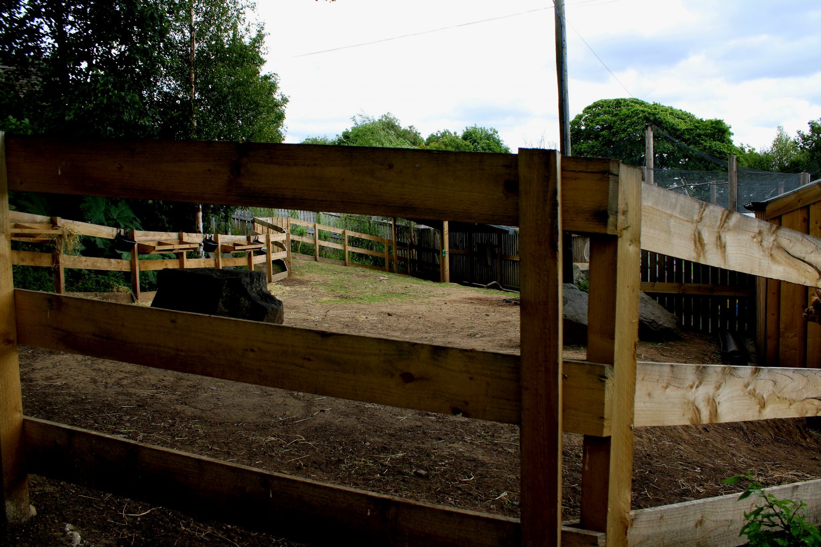 Alpaca Enclosure - 26/07/25