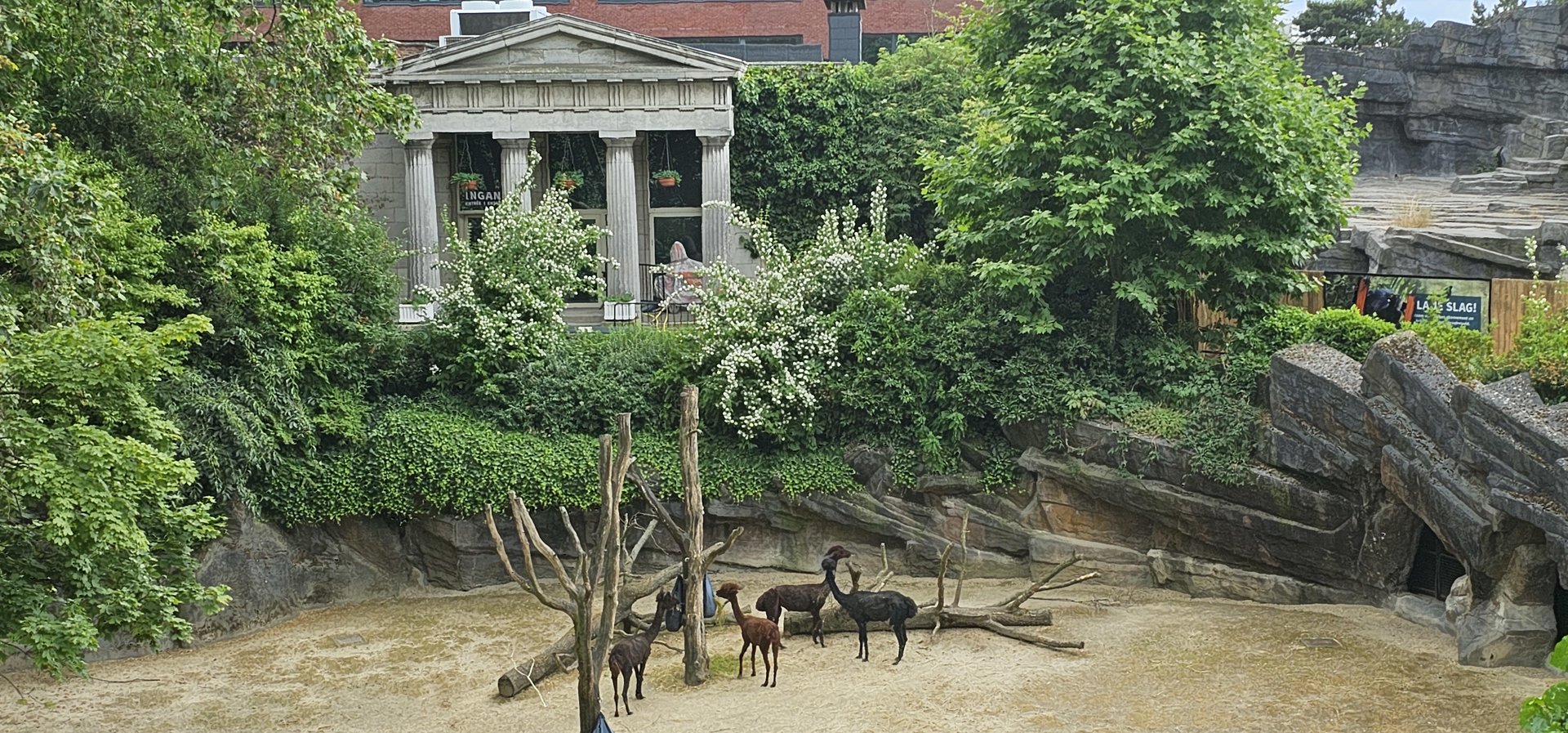 Alpaca enclosure and reptile house