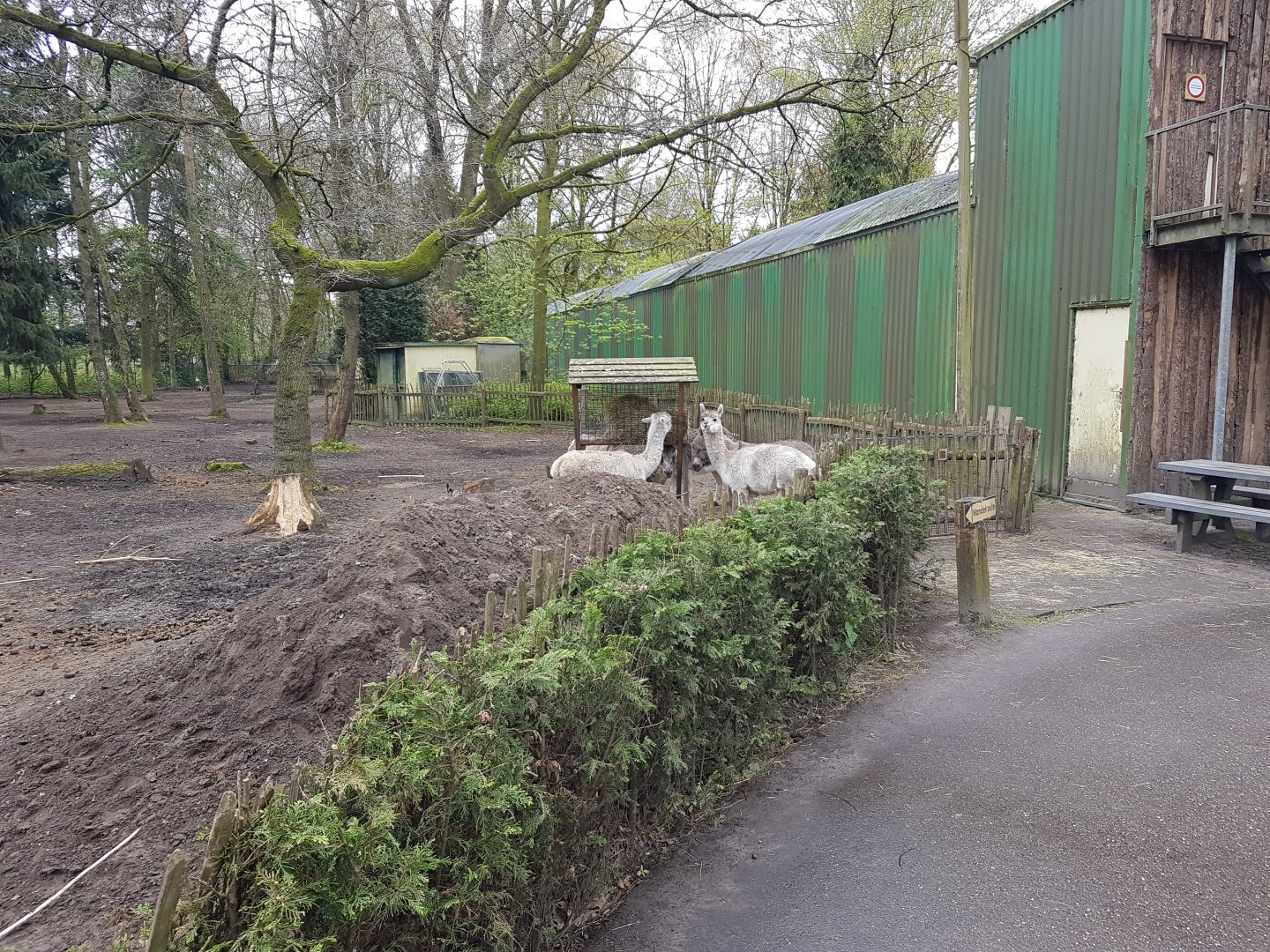 Alpaca-enclosure