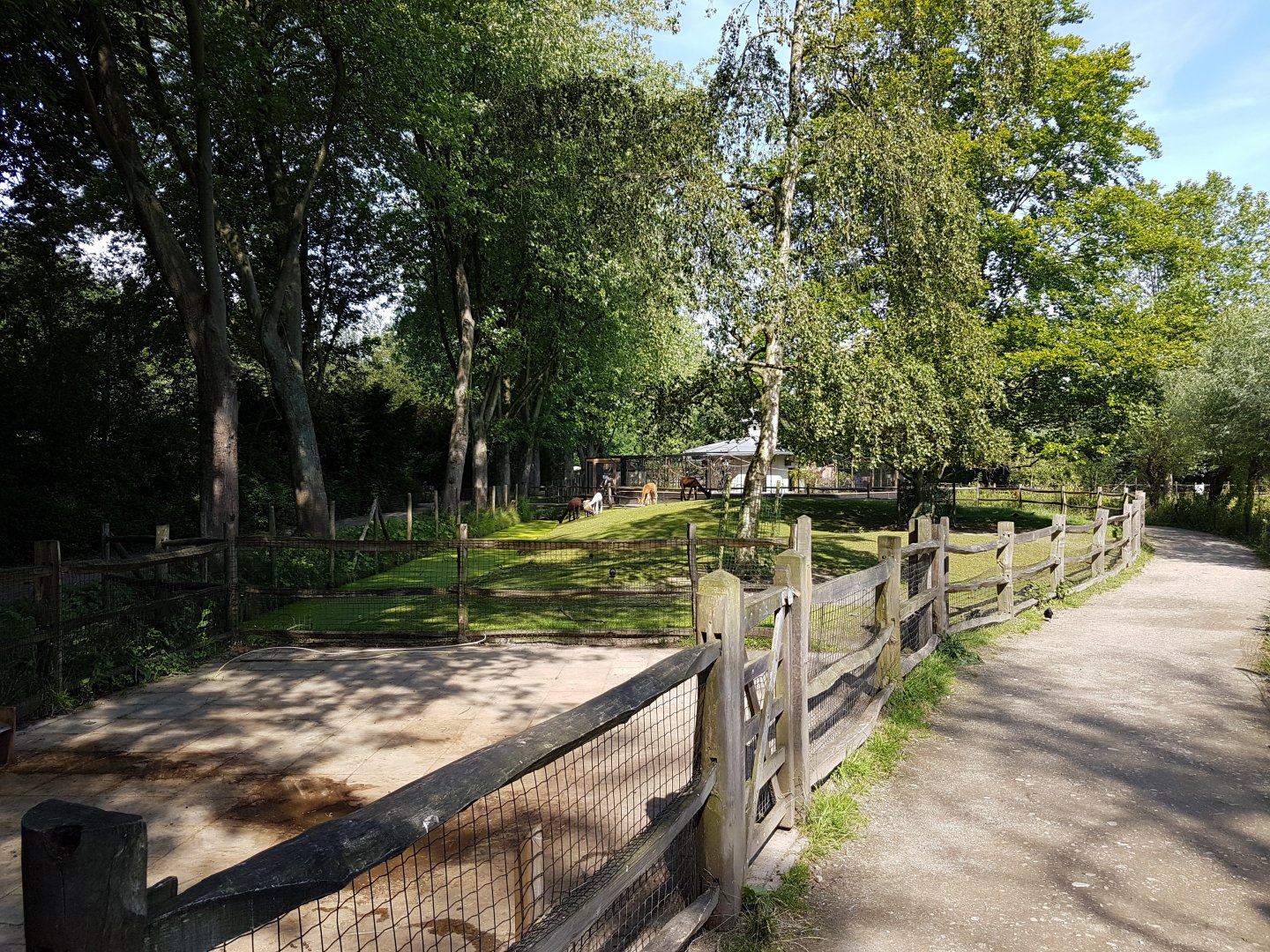 Alpaca enclosure