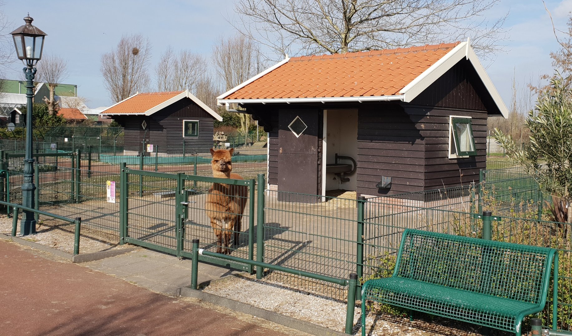 Alpaca enclosure