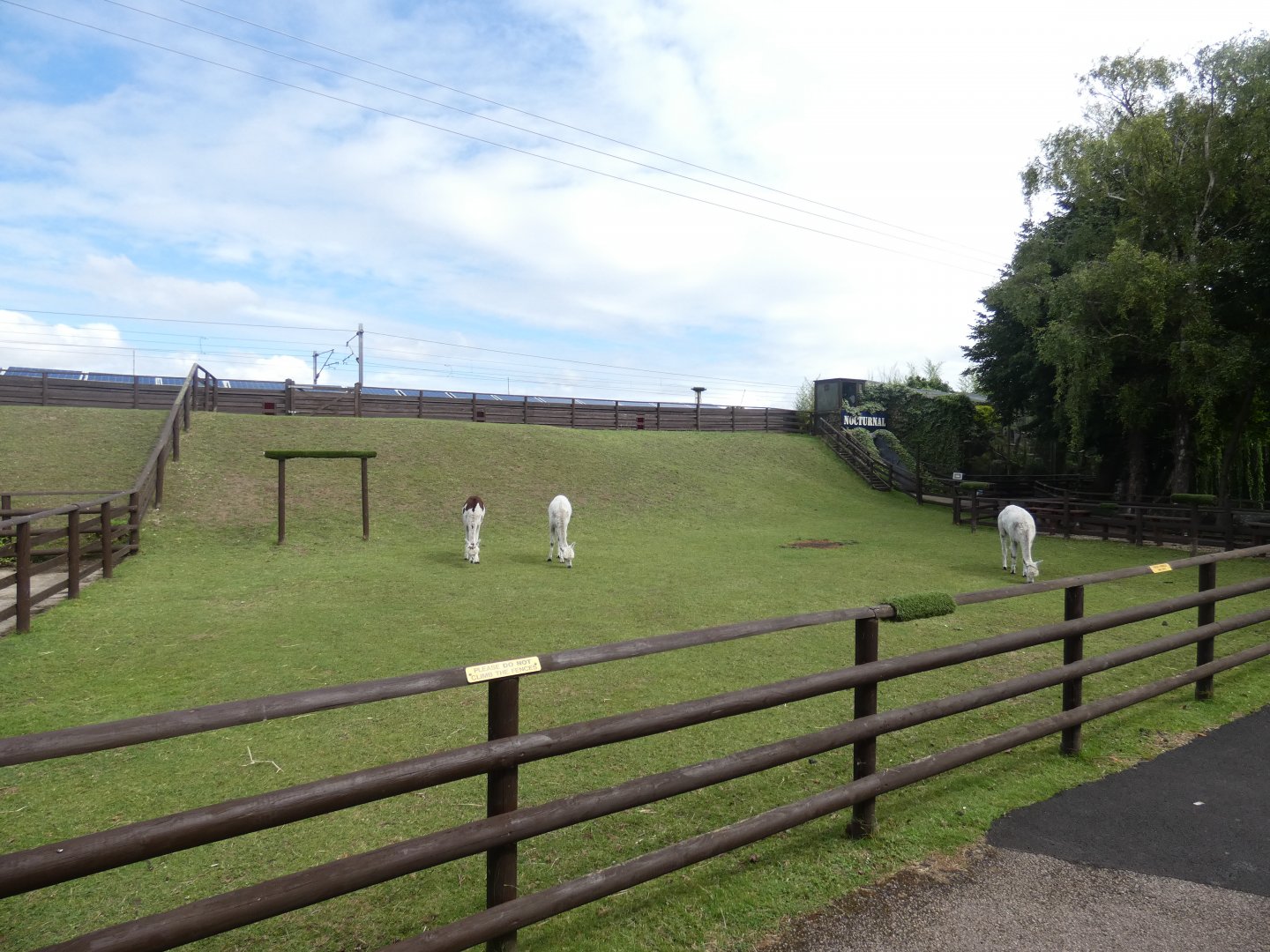 Alpaca enclosure