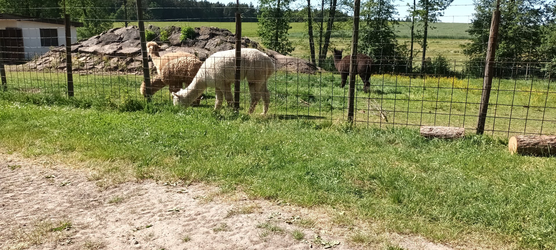 Alpaca Enclosure
