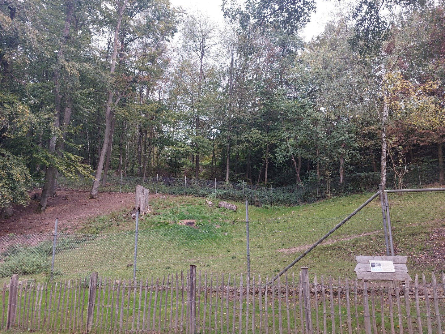 Alpaca enclosure