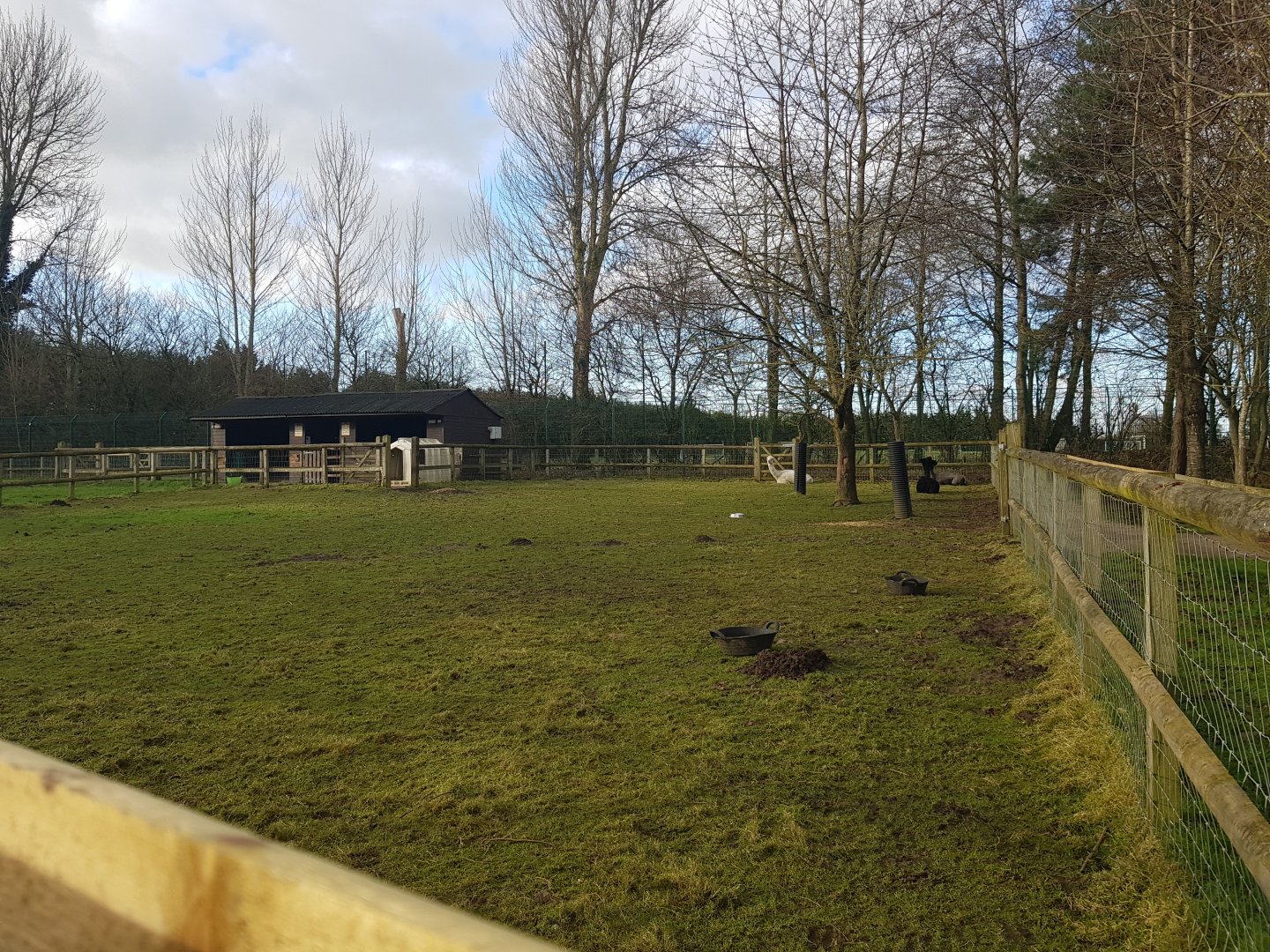 Alpaca Enclosure