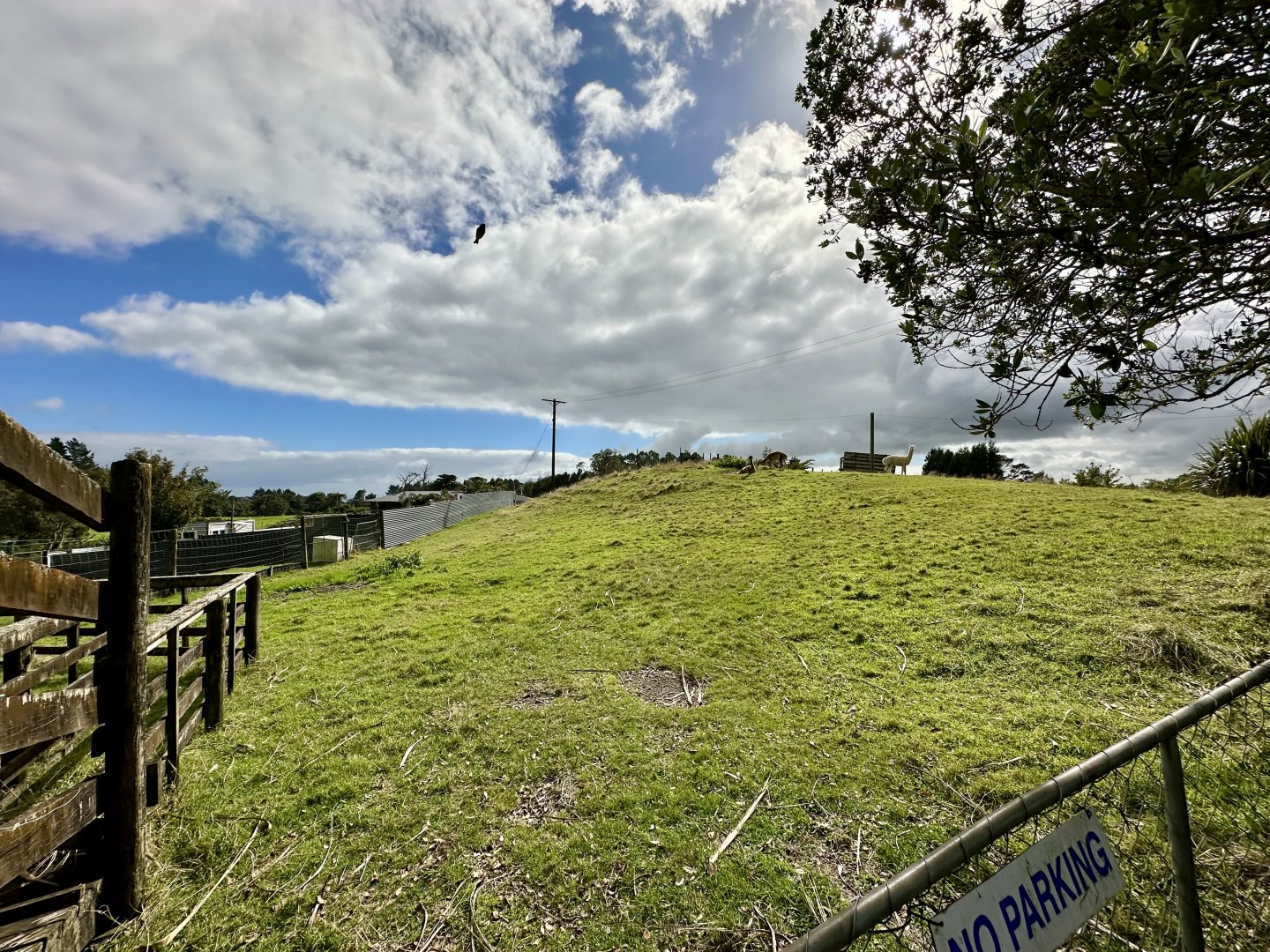 Alpaca Exhibit (View from Carpark)