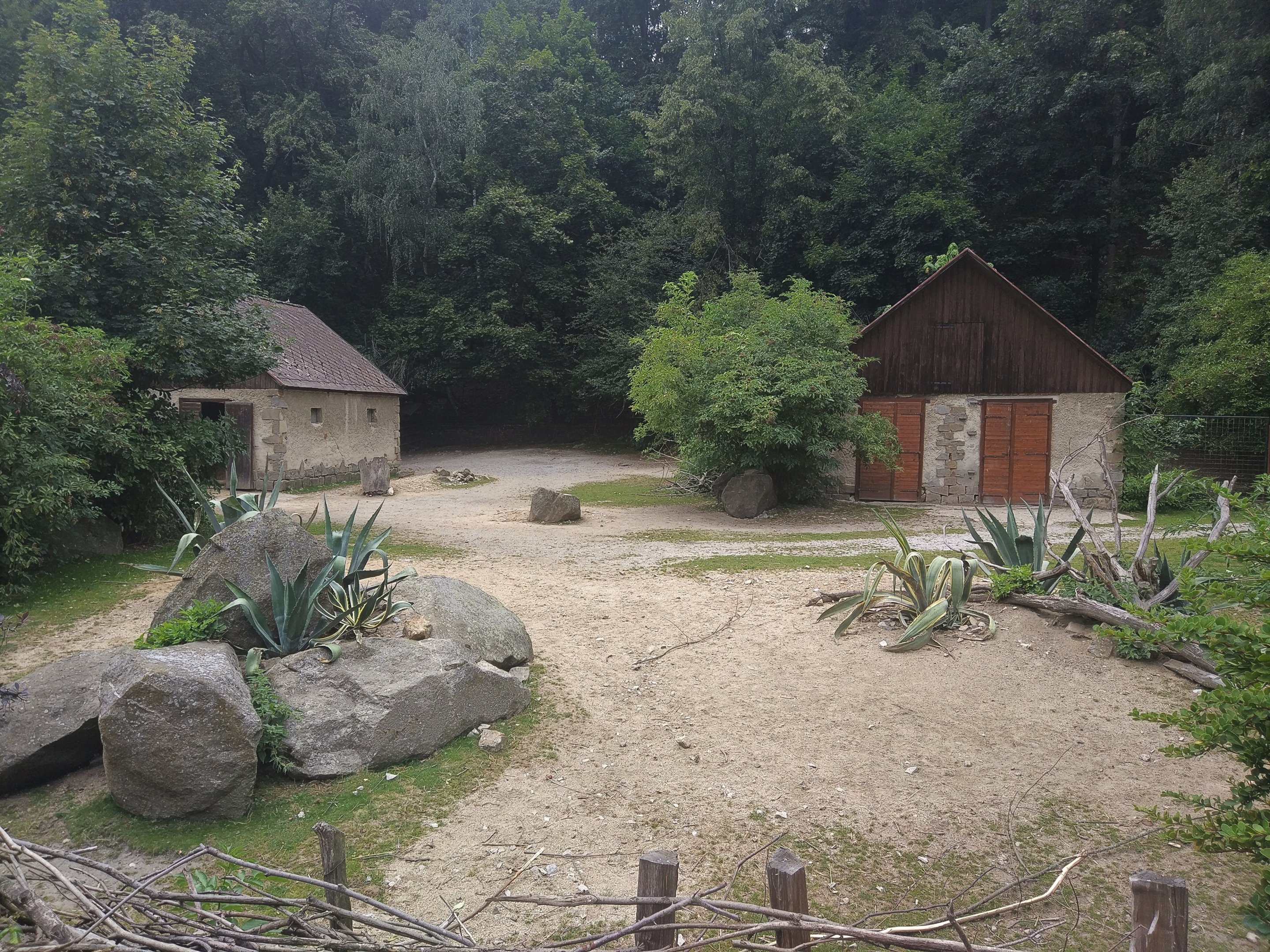 Alpaca Exhibit
