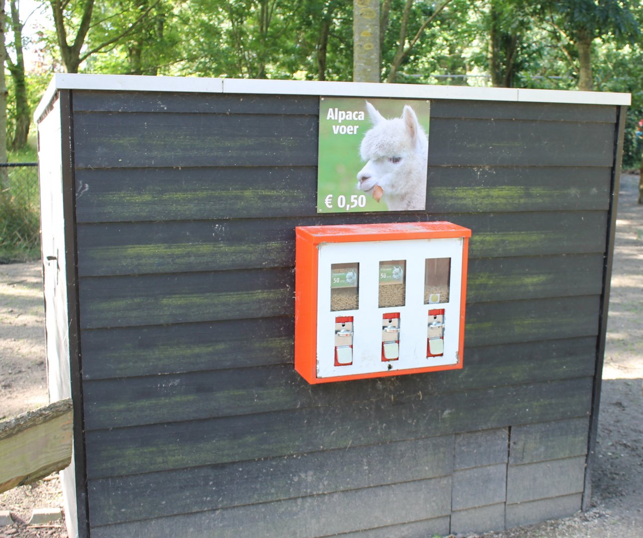 Alpaca-food selling-place