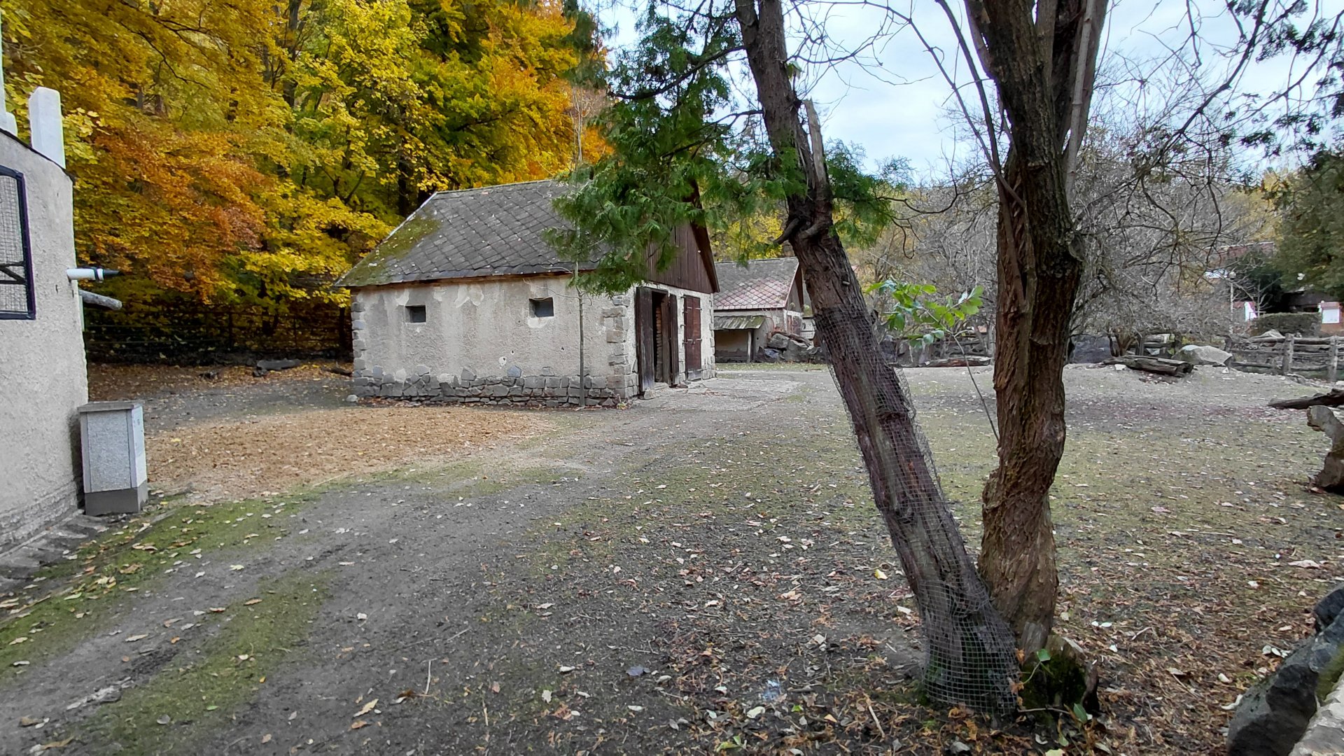 Alpaca + greater rhea exhibit