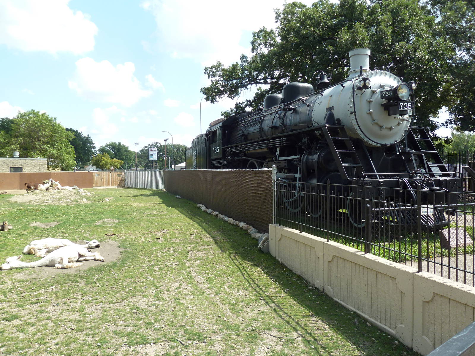 Alpaca/Llama Exhibit + Locomotive 735