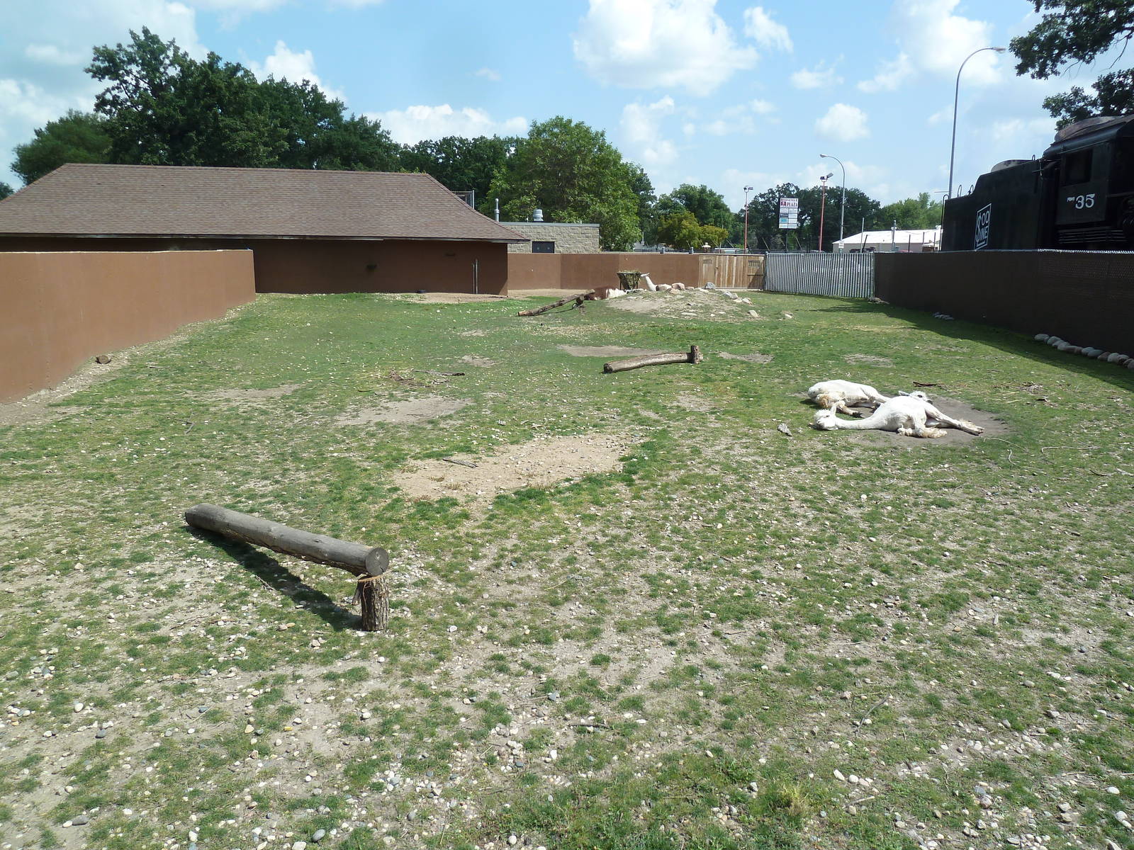 Alpaca/Llama Exhibit