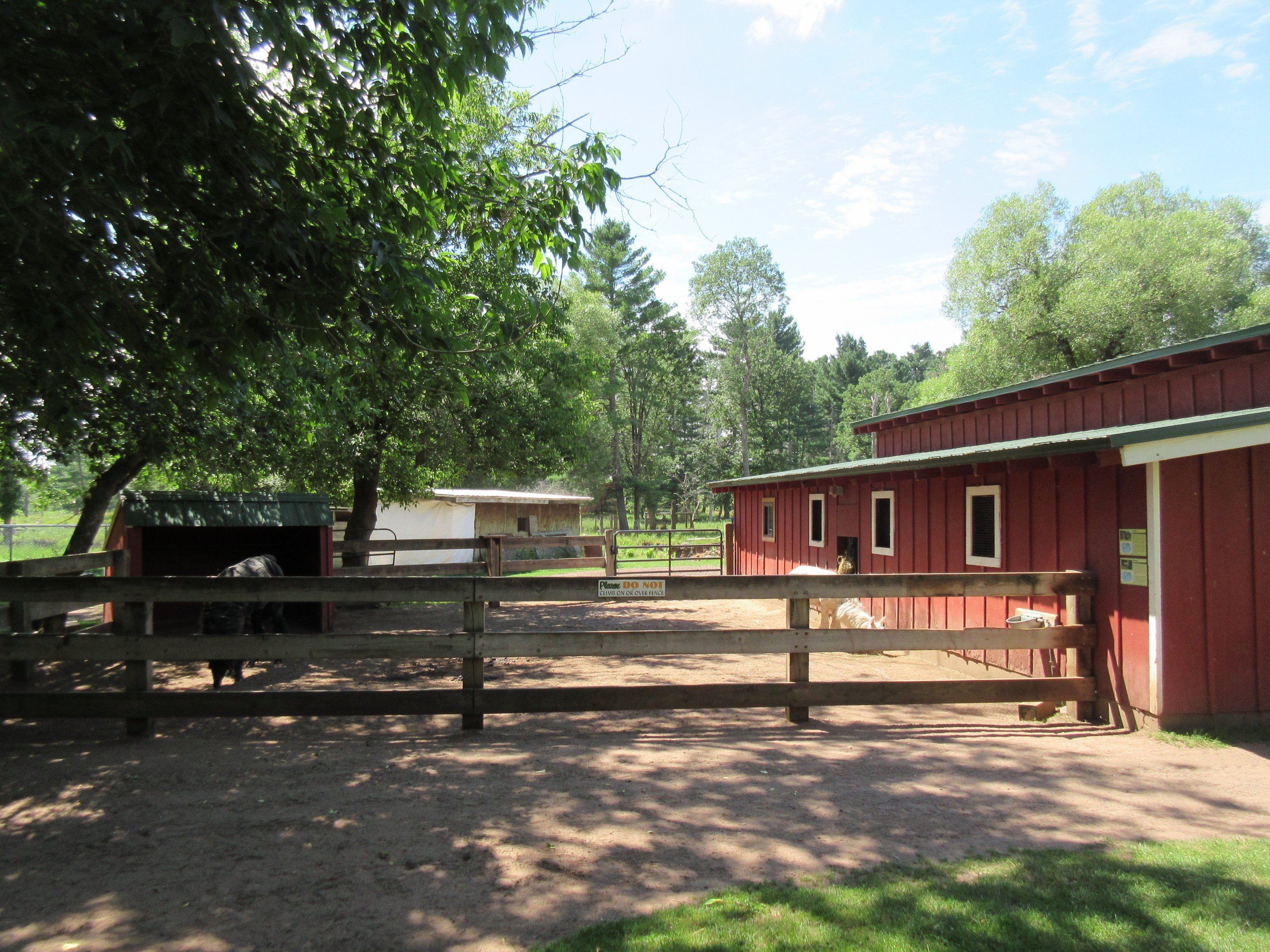 Alpaca/Llama Exhibit