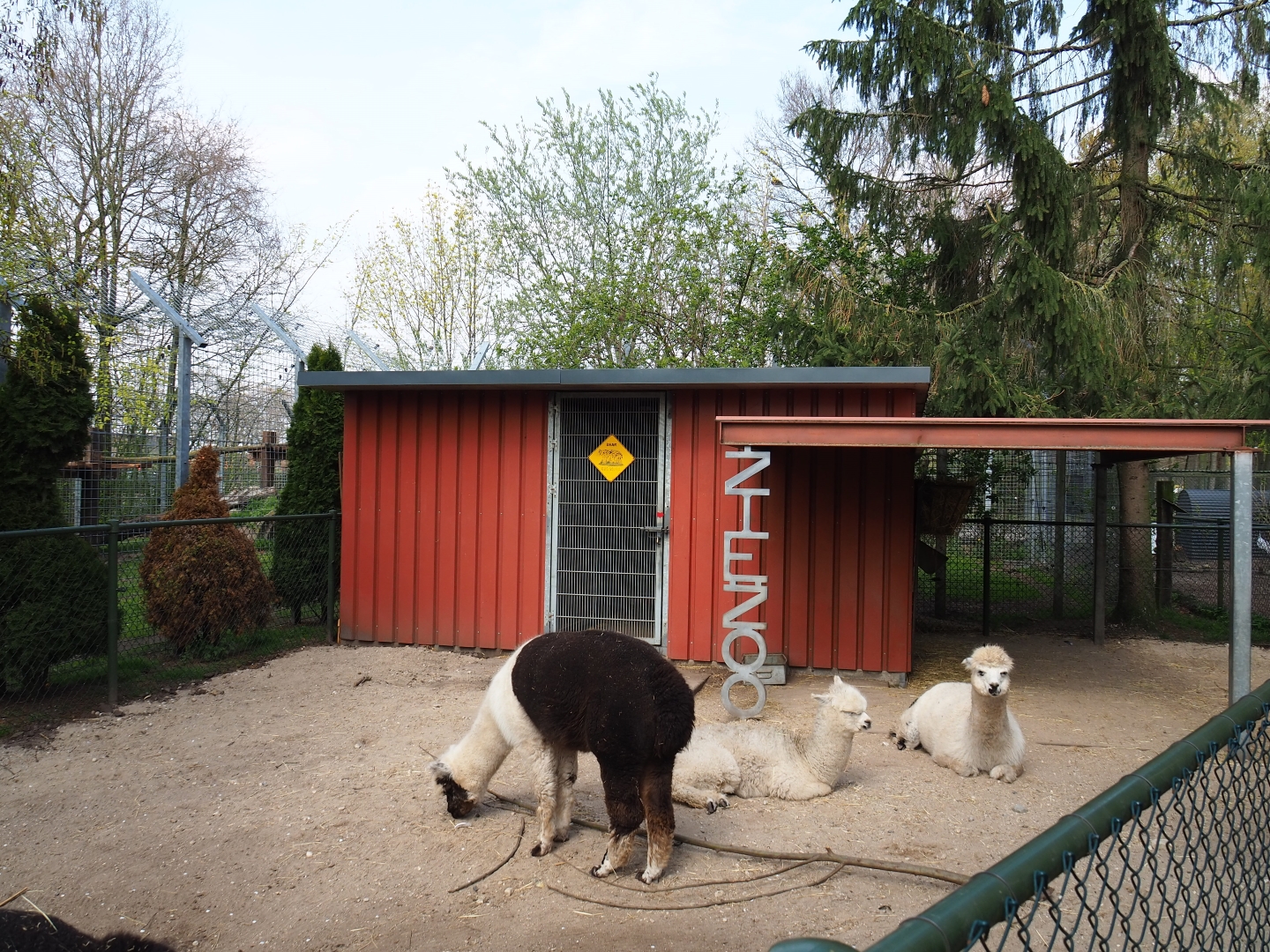 Alpaca paddock and American black bear holding building, 2019-04-06