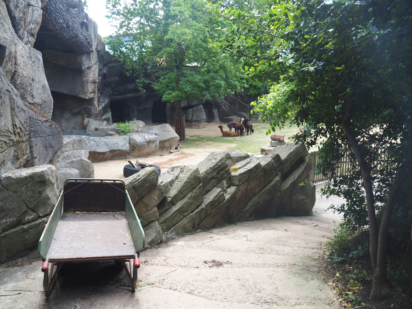 Alpaca paddock and keeper area, 2022-05-26