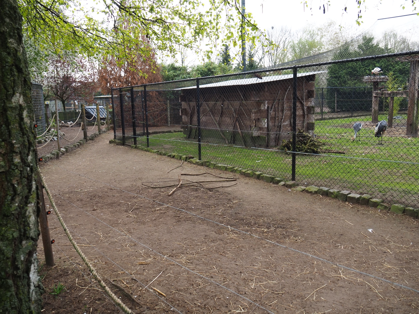 Alpaca paddock around large bird aviary, 2019-04-06