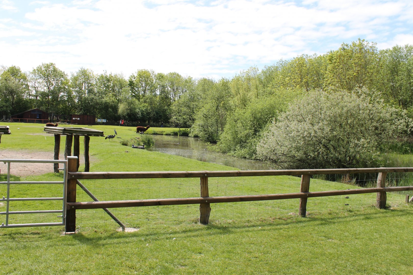 Alpaca - Screamer Enclosure