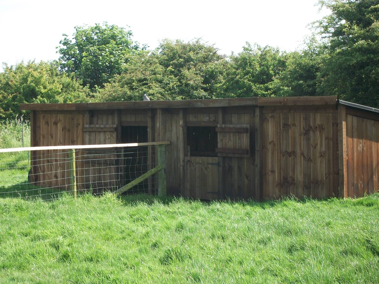 Alpaca shelter, 19th June 2014