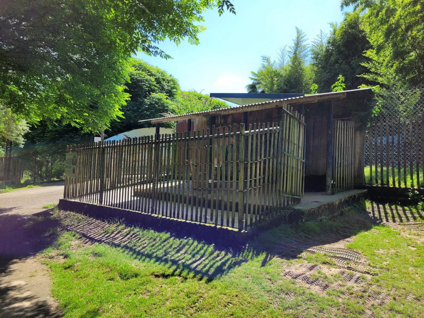 Alpaca shelter -Zoo d'Asson (2022)