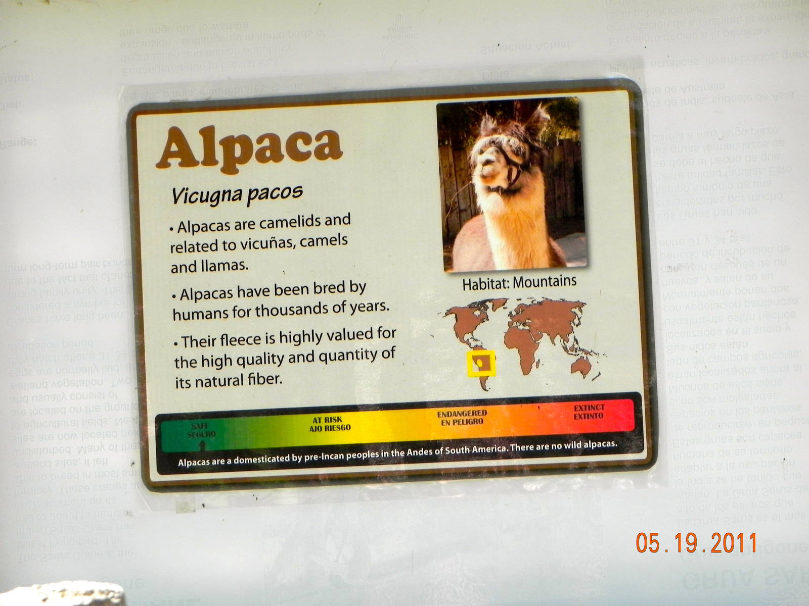 Alpaca sign