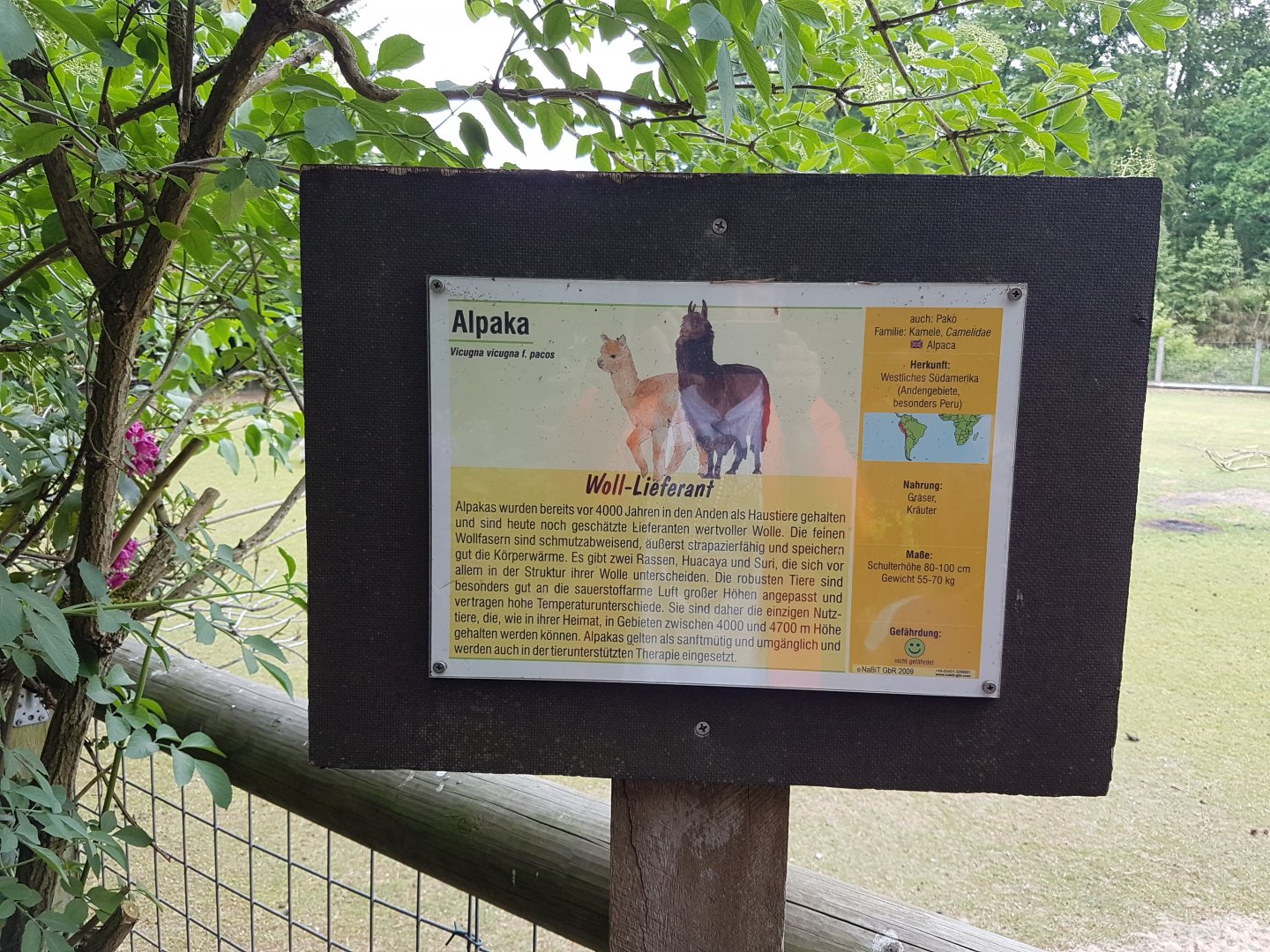 Alpaca-sign