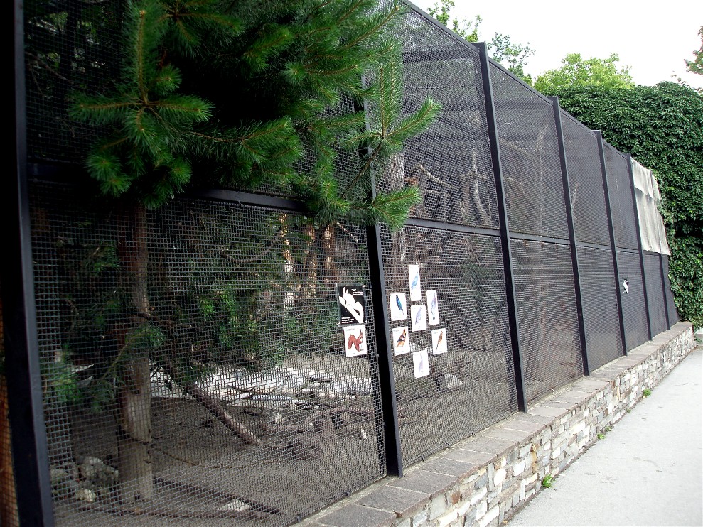Alpenzoo Innbruck - Aviary