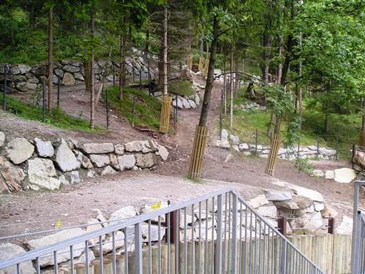 Alpenzoo Innsbrück (AT) bison 2004