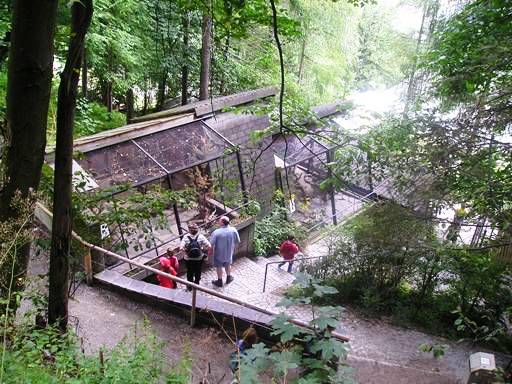 Alpenzoo Innsbrück (AT) Hare, Birds 2004