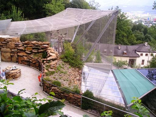 Alpenzoo Innsbrück (AT) Ibis 2004