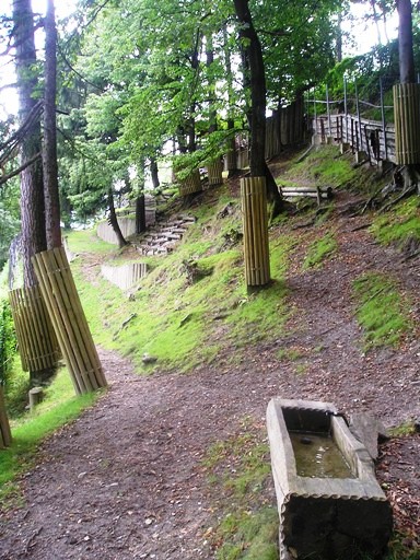 Alpenzoo Innsbrück (AT) Moose 2004