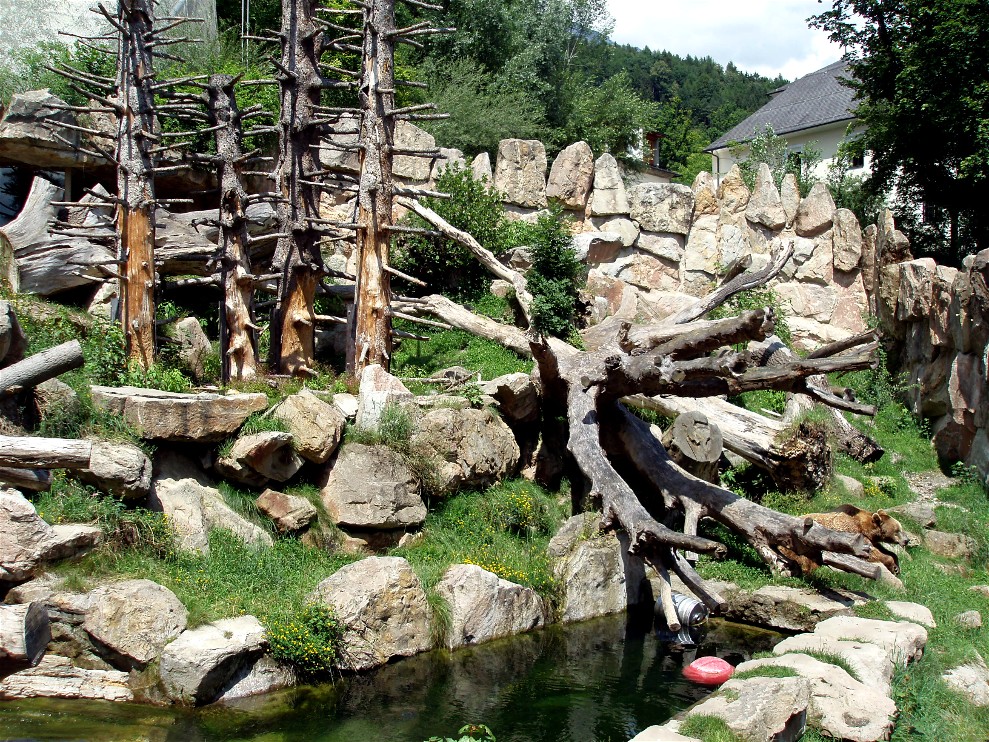 Alpenzoo Innsbruck - Bear exhibit