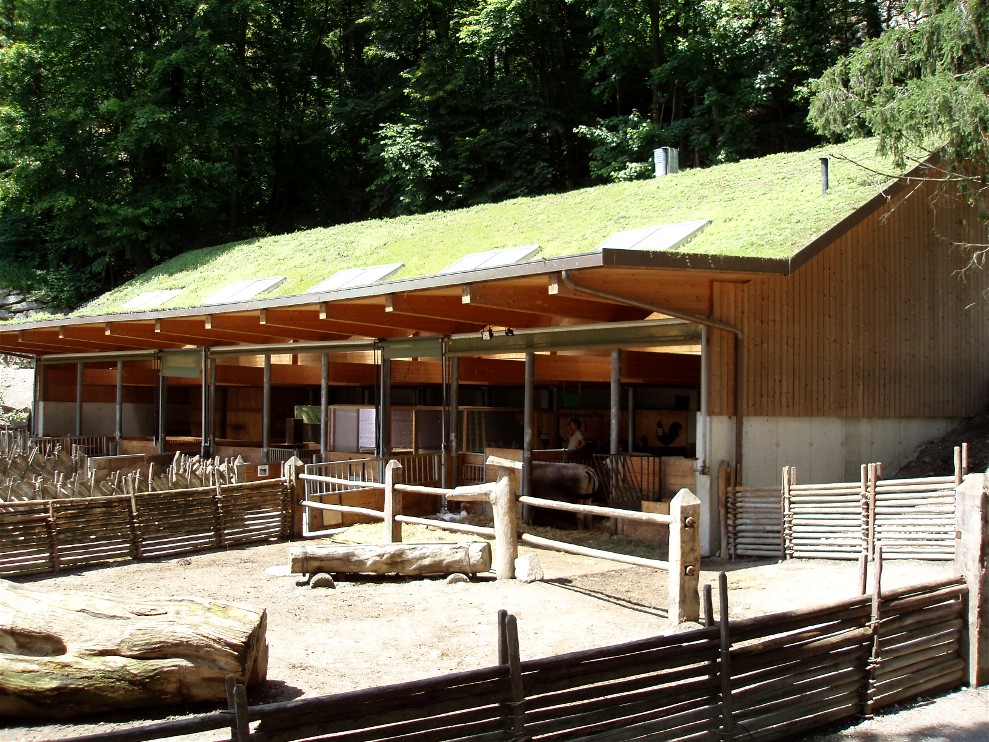 Alpenzoo Innsbruck - Farm