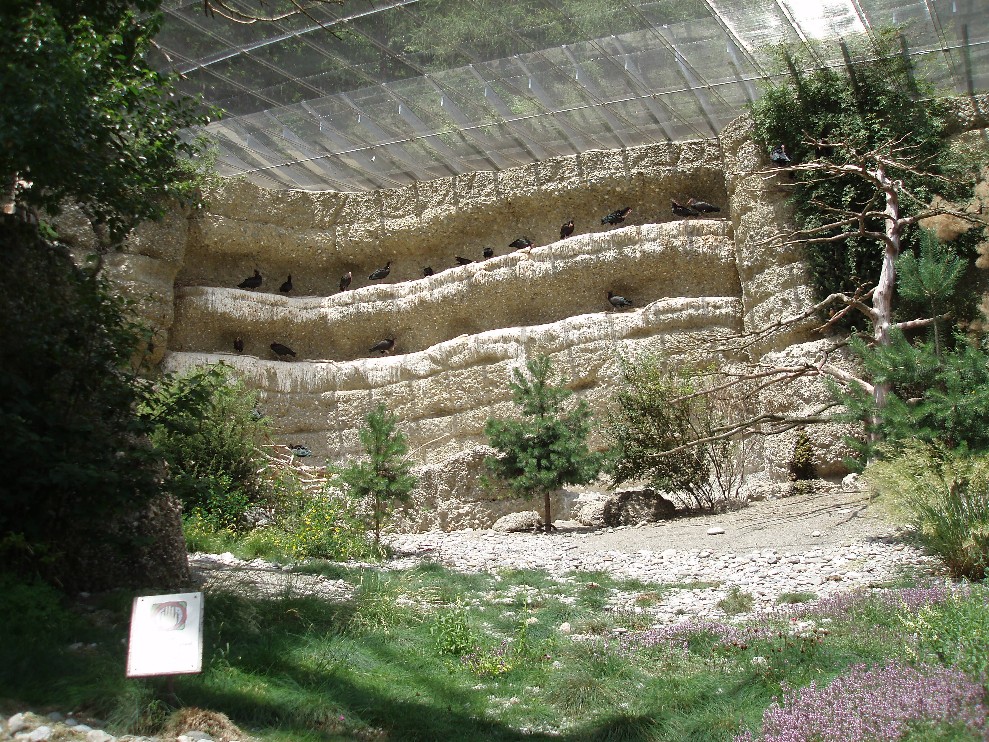 Alpenzoo Innsbruck - Ibis aviary