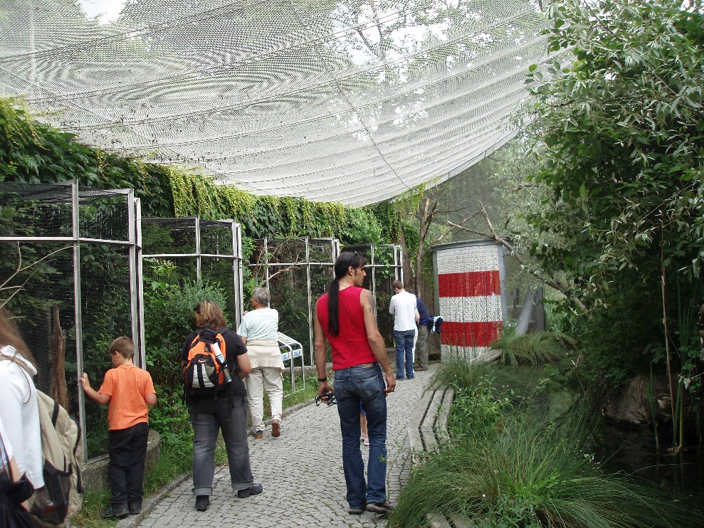 Alpenzoo Innsbruck - Walkthrough aviary