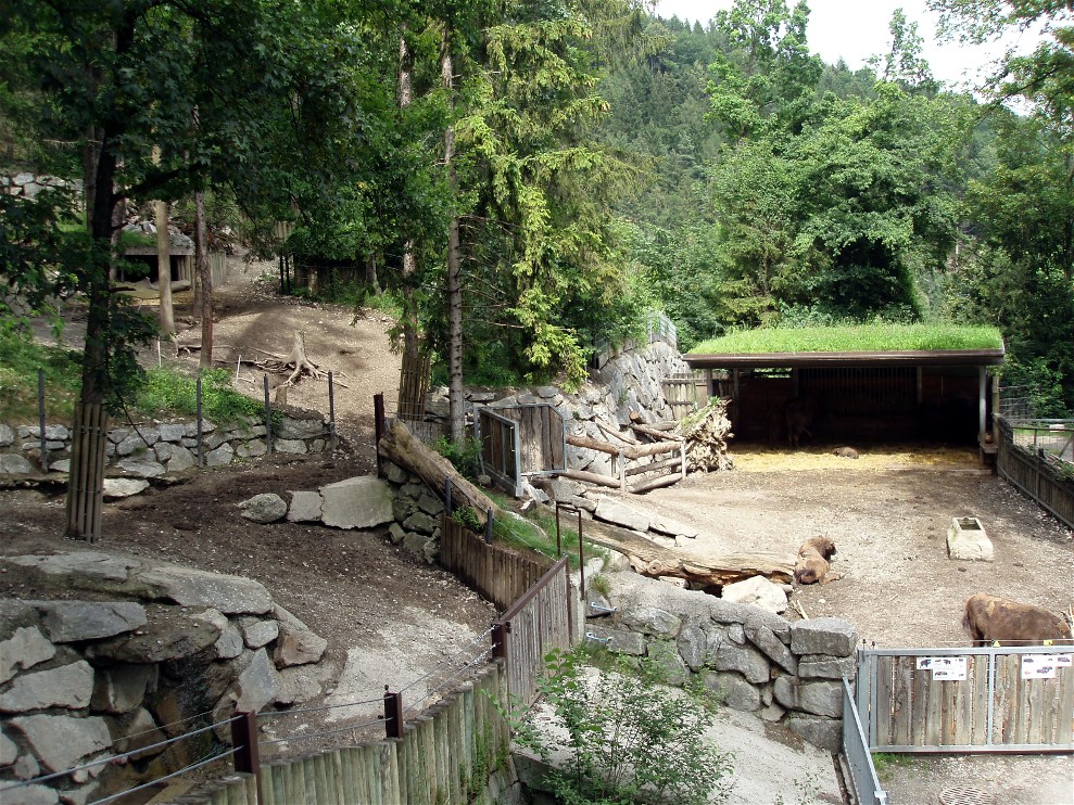 Alpenzoo Innsbruck - Wisent enclosure