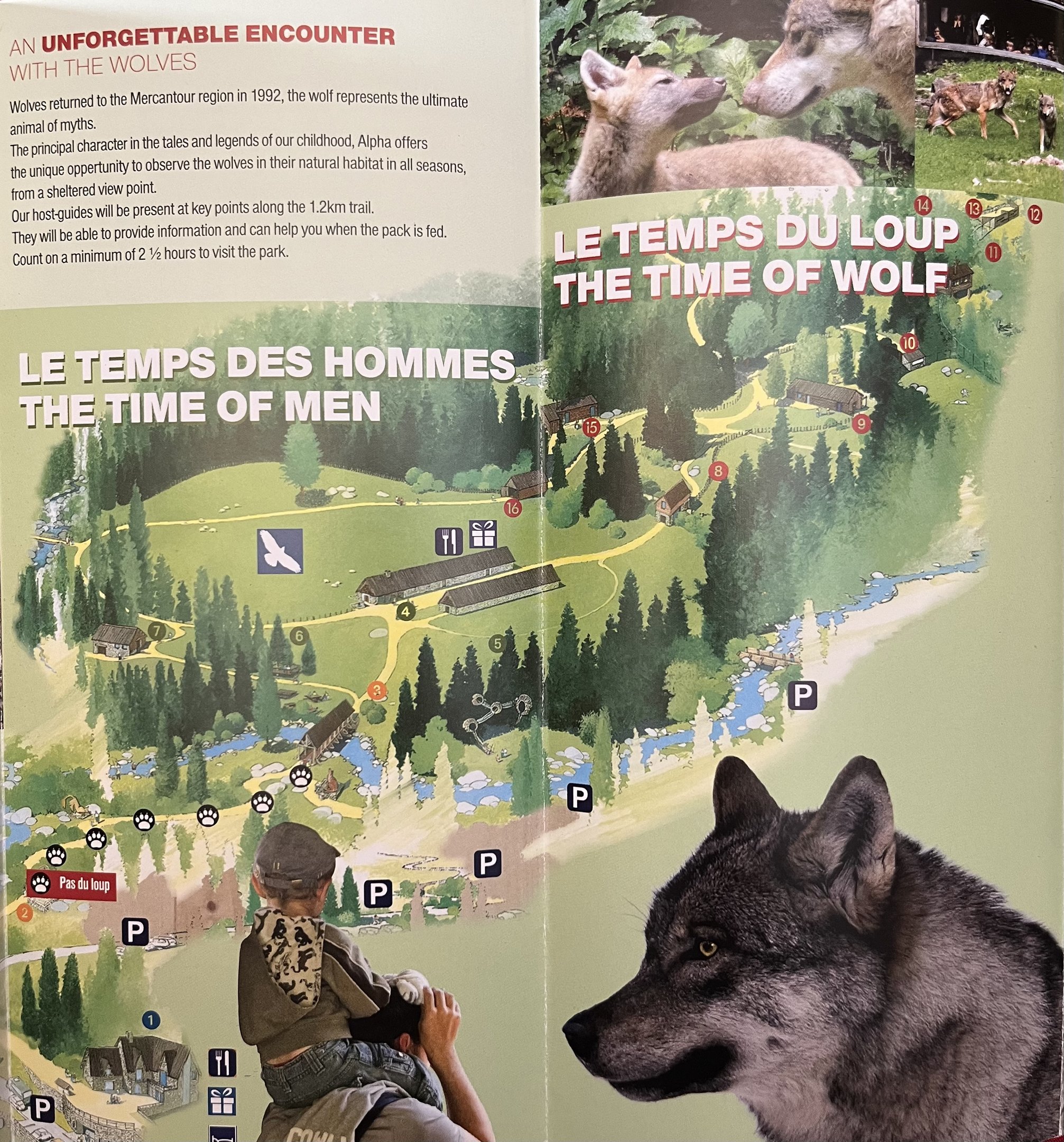 Alpha - Le Temps du Loup Map - 2014