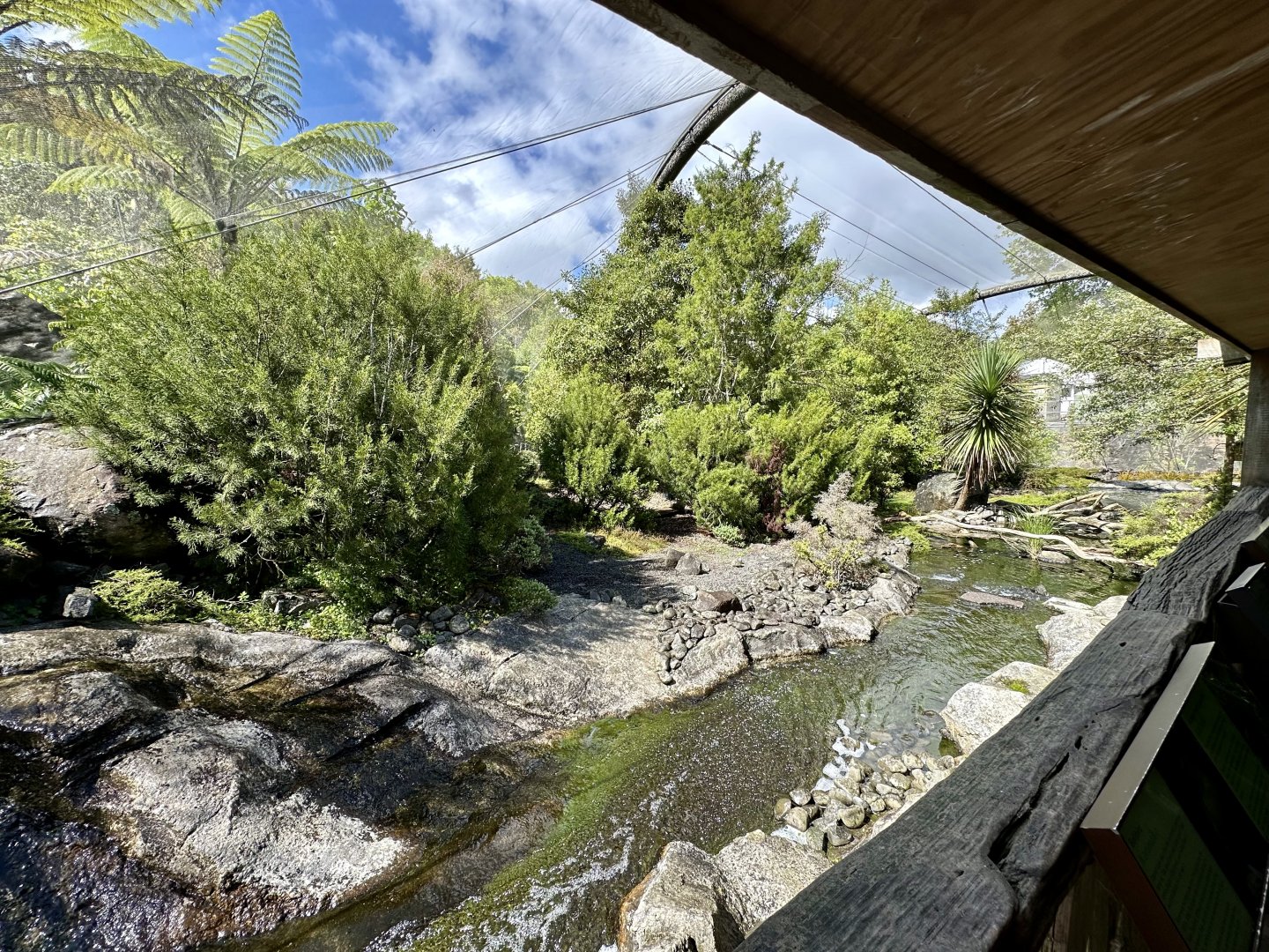 Alpine Aviary (The High Country)