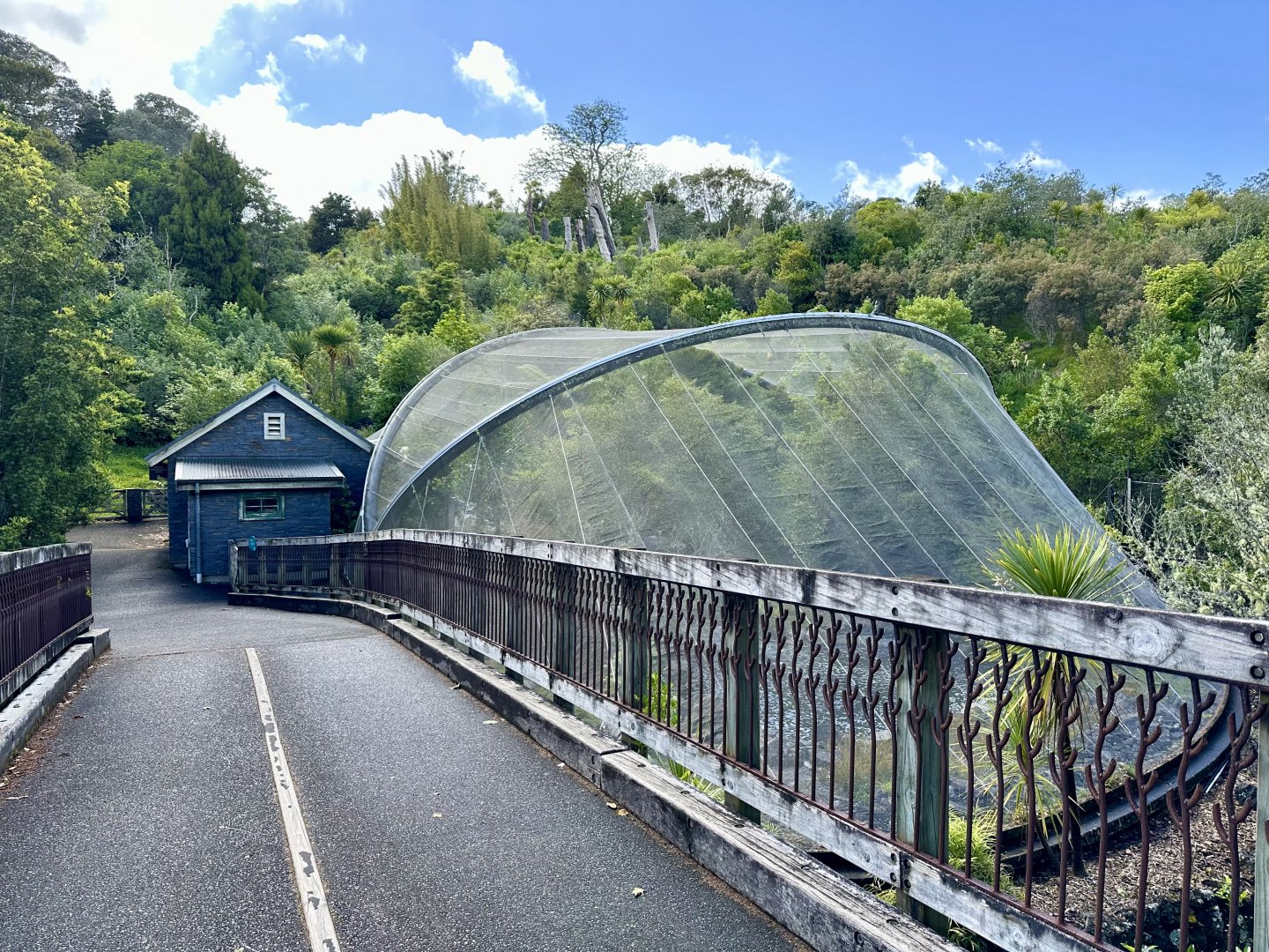 Alpine Aviary (The High Country)