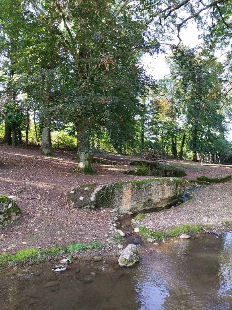 Alpine chamois enclosure