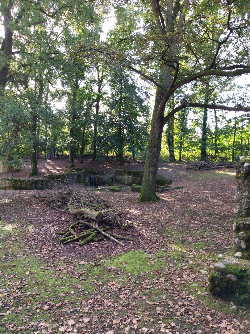 Alpine chamois enclosure